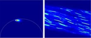FLIM-FRET : phasor image of EB1a-GFP and mcherry-TUA5. © Alice Vayssières / Samantha Vernhettes
