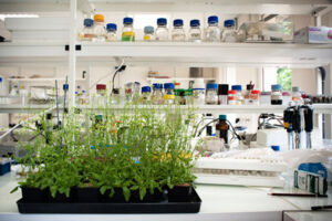 Visites de laboratoires