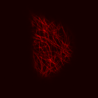 Microtubules © Alice Vayssières