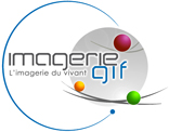 Logo Imagerie Gif